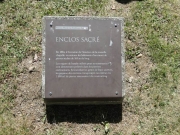 DSC06698